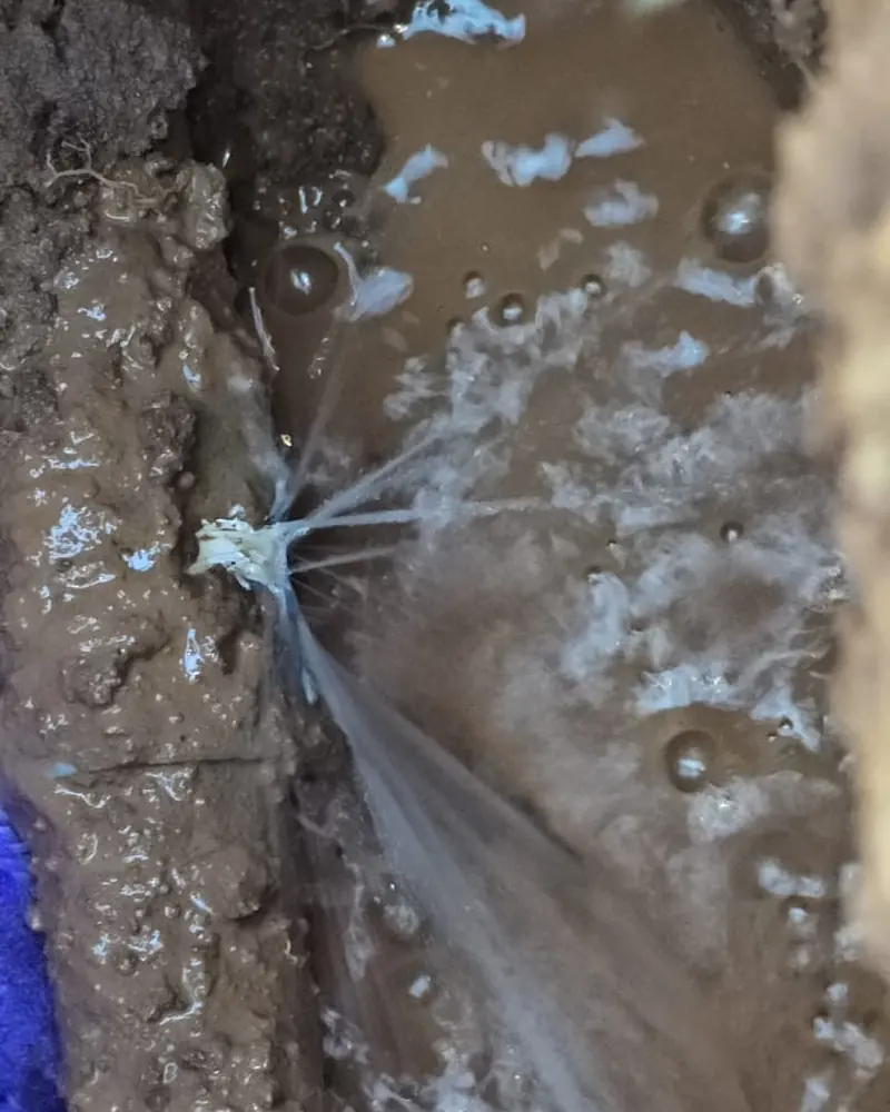 Fuga de agua ubicada en una cañería enterrada