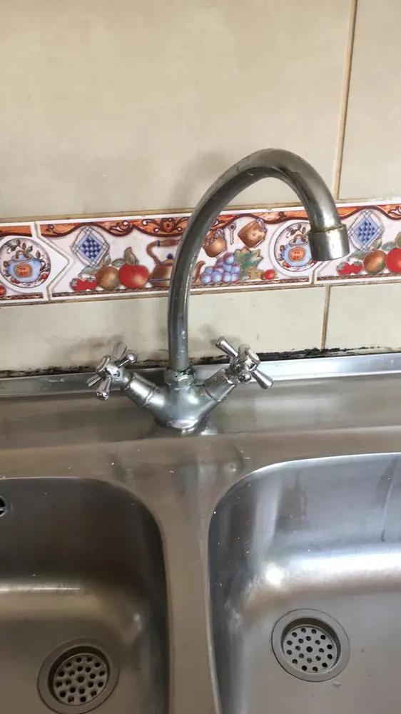 Grifería de lavaplatos de dos llaves con cuello de cisne